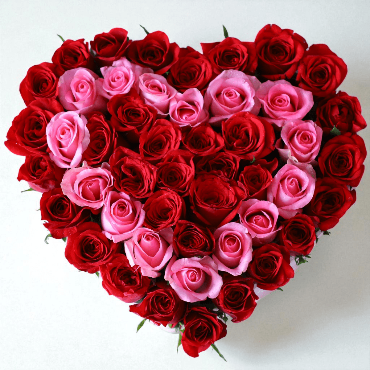 Blushing Heart – 45 Red & Pink Roses in Box